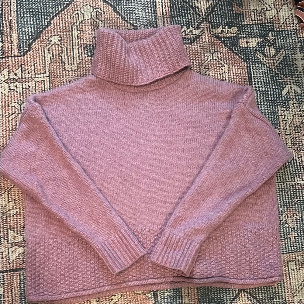 Madewell Pink Chunky Turtleneck Sweater